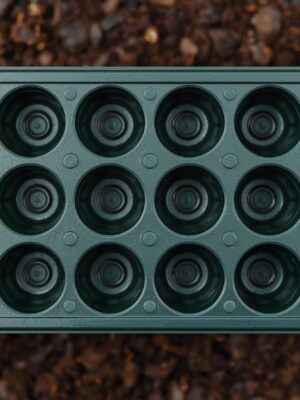 germination tray with 18 seed holes.